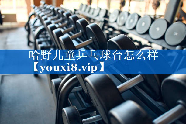 哈野儿童乒乓球台怎么样