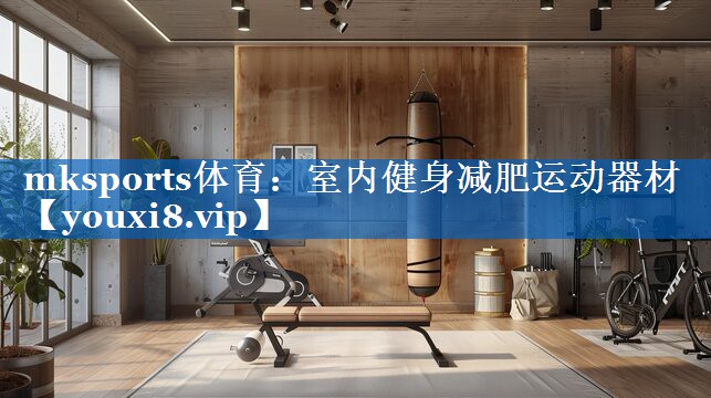 mksports体育：室内健身减肥运动器材