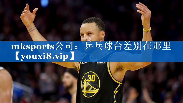 乒乓球台差别在那里 乒乓球台差别在那里