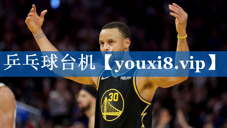 乒乓球台机 乒乓球台机