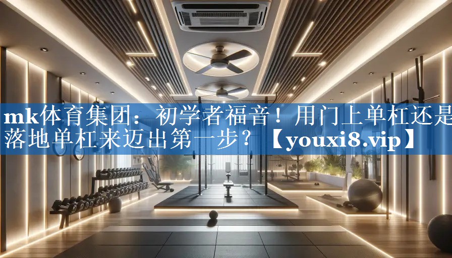 初学者福音!用门上单杠还是落地单杠来迈出第一步? 初学者福音!用门上单杠还是落地单杠来迈出第一步?