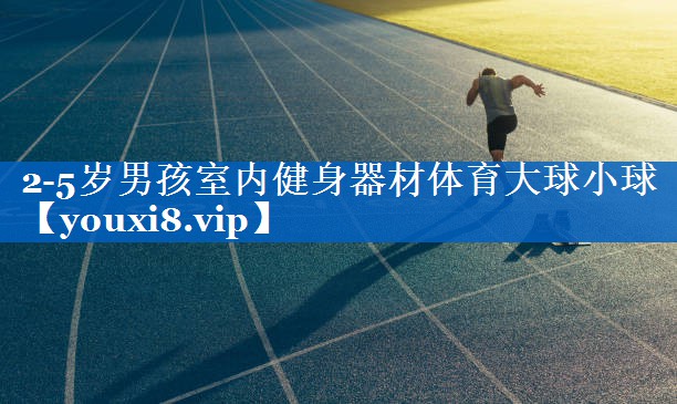 2-5岁男孩室内健身器材体育大球小球