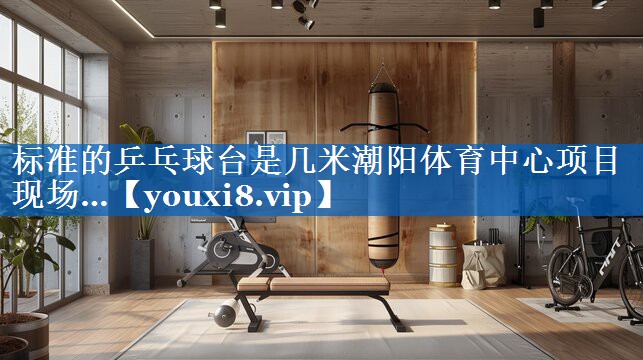 标准的乒乓球台是几米潮阳体育中心项目现场…