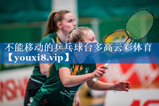 不能移动的乒乓球台多高云彩体育