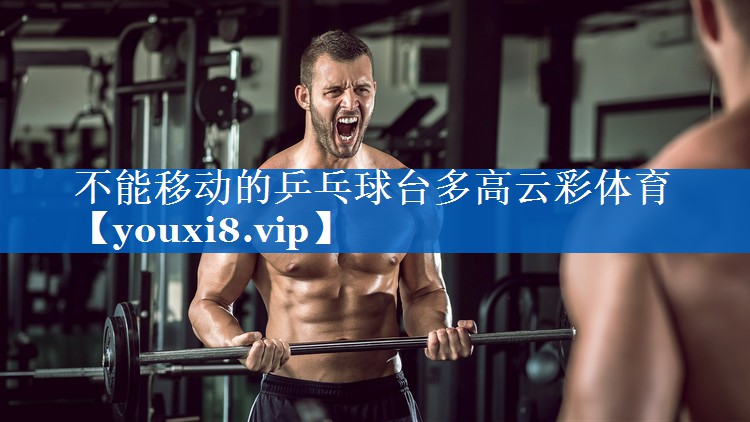 不能移动的乒乓球台多高云彩体育